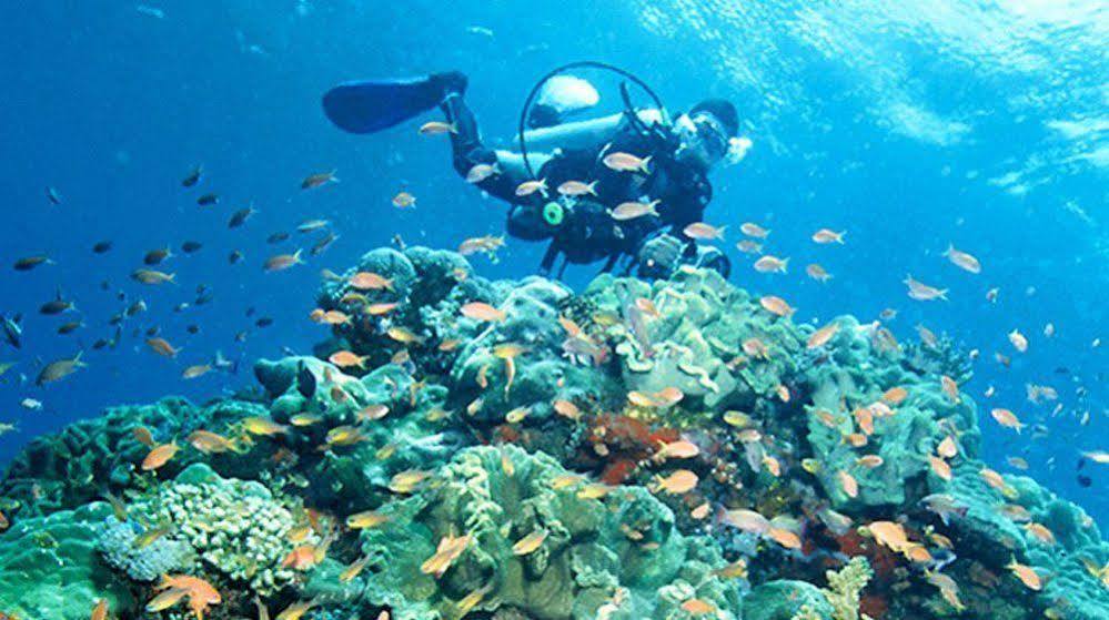 Bajo Komodo Eco Lodge Labuan Bajo Eksteriør billede